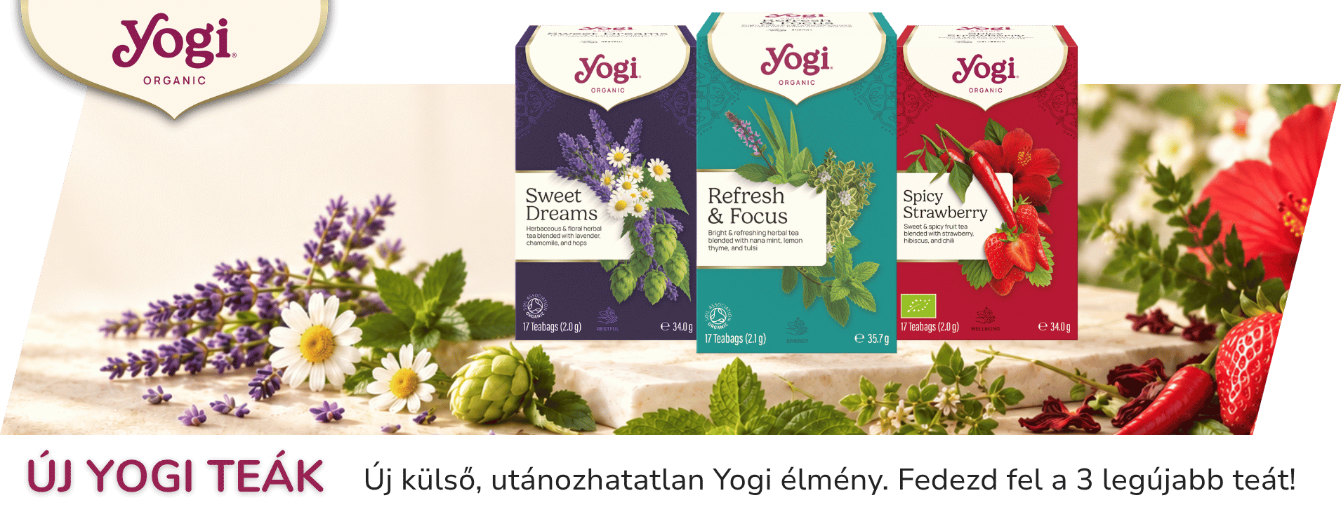 Onlinekosar_uj_Yogi_teak