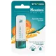 Himalaya Tápláló ajakbalzsam 4,5g
