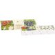 Florinda szett - Primula 50g + 3db szekrényillatosító