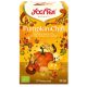 Yogi Tea® Sütőtökös chai bio tea 32,3g