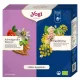 Yogi ® Békés nyugalom bio ajándékcsomag