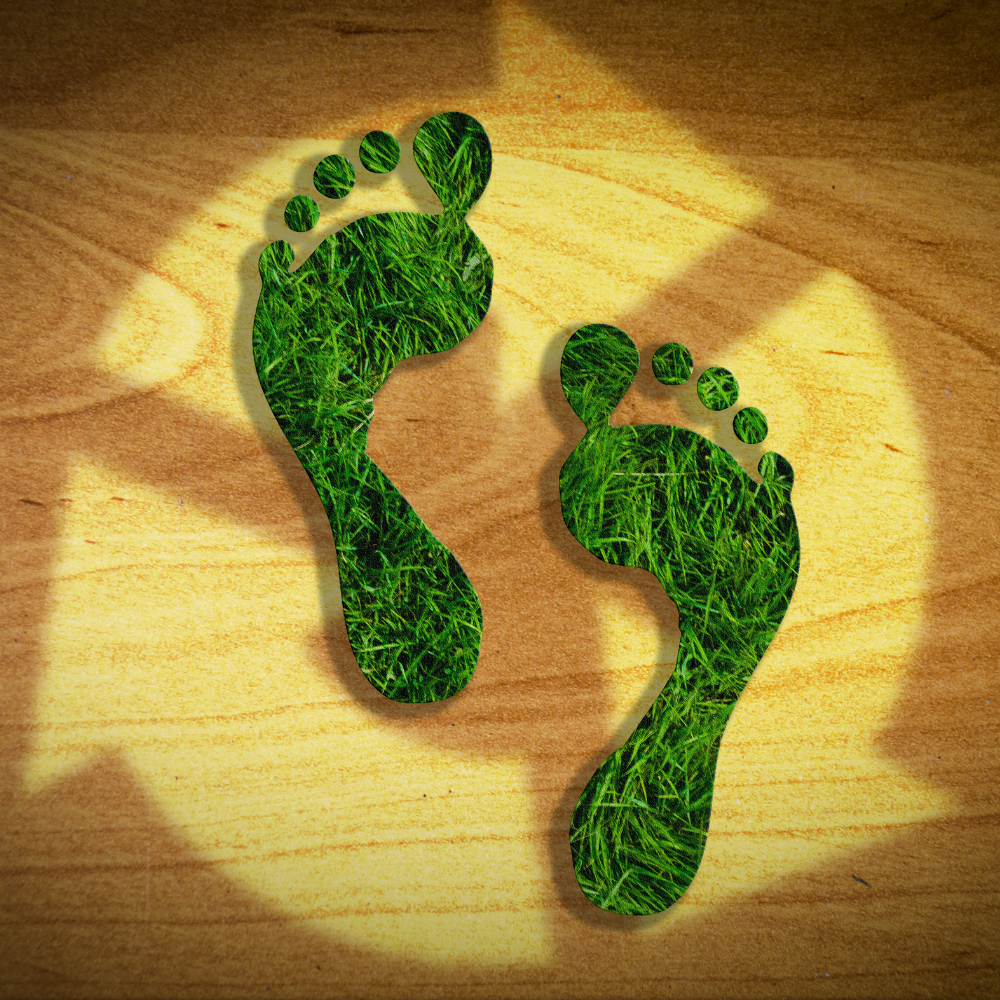 Ökológiai lábnyom - miért fontos?